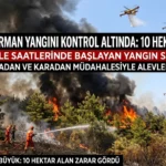 Aksu Orman Yangını Kontrol Altına Alındı: 10 Hektar Alan Zarar Gördü