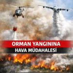 Balıkesir Bigadiç’te Orman Yangını: Ekipler Alevlerle Mücadele Ediyor
