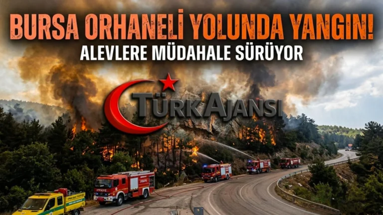 Bursa Orhaneli Yolunda Ağaçlık Alanda Yangın Çıktı: Müdahale Sürüyor