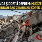Venezuela’da Deprem Sonrası Umut: Ekipler Enkaz Altından Küçük Bir Köpeği Kurtardı