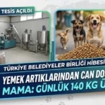 Mama Üretim Parkuru Efes Selçuk’ta Kuruldu