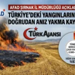 AFAD: Türkiye’deki Yangınların %7’si Anız Yakmadan Kaynaklanıyor