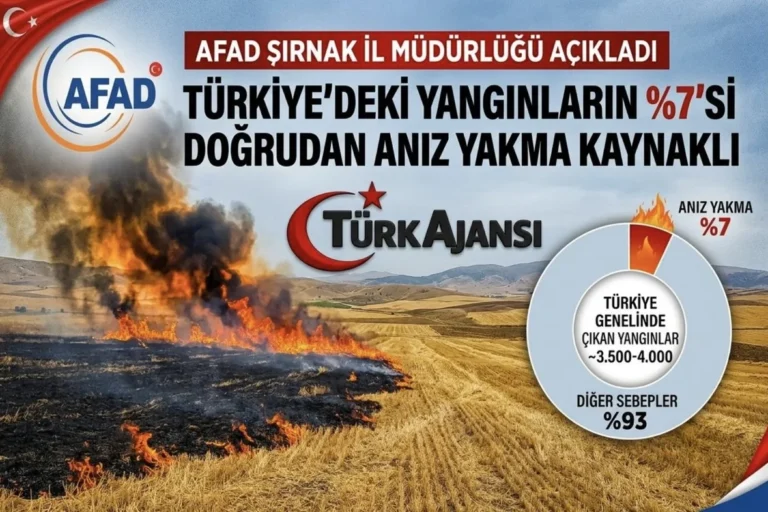 AFAD: Türkiye’deki Yangınların %7’si Anız Yakmadan Kaynaklanıyor