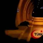 Karabük’te Otomobilin Çarptığı Ayı, Tedavi İçin Müdahale Sırasında Dereye Düşerek Hayatını Kaybetti