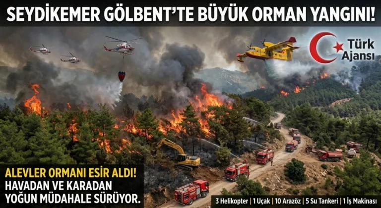 Seydikemer’de Ziraat Alanında Başlayan Yangın Ormana Sıçradı: Havadan ve Karadan Müdahale Sürüyor
