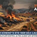 Silivri Değirmenköy’de Bağlarda Yangın: Ekipler Müdahale Ediyor