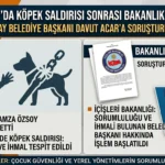 Van’da Köpek Saldırısı Sonrası Belediye Başkanına Soruşturma İzni