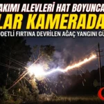 Almanya’da Fırtınada Elektrik Hattına Devrilen Ağaç Alev Aldı