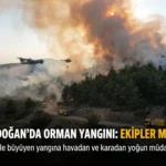 Aydın Bozdoğan’da Orman Yangını: Ekipler Müdahalede