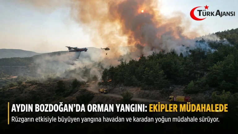 Aydın Bozdoğan’da Orman Yangını: Ekipler Müdahalede