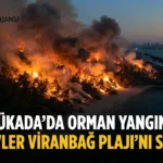 Büyükada’da Yangın Alarmı: Viranbağ Plajı Alevlere Teslim!