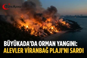 Büyükada’da Yangın Alarmı: Viranbağ Plajı Alevlere Teslim!