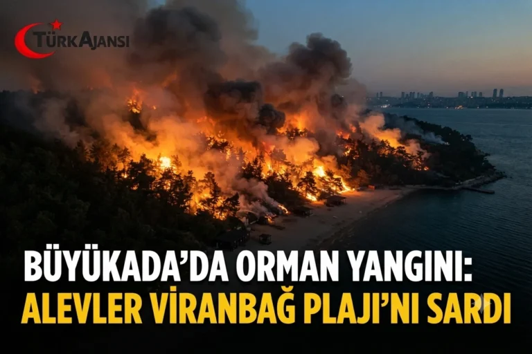 Büyükada’da Yangın Alarmı: Viranbağ Plajı Alevlere Teslim!