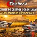 Edirne’de Çekirge Sürüleri Sosyal Medyada Gündem Oldu