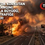 Manisa Akhisar’da Orman Yangını İzmir-İstanbul Otoyolu’nu Etkiledi