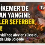 Muğla Seydikemer’de Orman Yangını: Havadan ve Karadan Müdahale Sürüyor