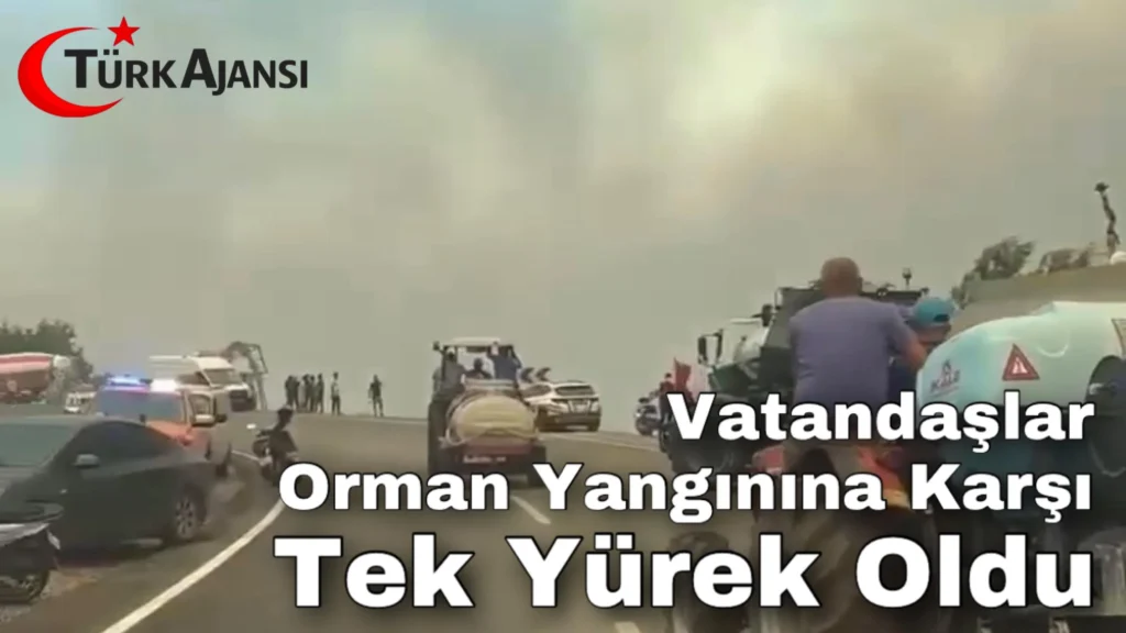 Muğla: Vatandaşlar Orman Yangınına Karşı Tek Yürek Oldu