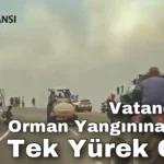 Muğla: Vatandaşlar Orman Yangınına Karşı Tek Yürek Oldu