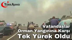 Muğla: Vatandaşlar Orman Yangınına Karşı Tek Yürek Oldu