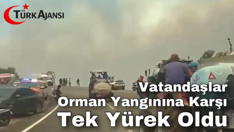 Muğla: Vatandaşlar Orman Yangınına Karşı Tek Yürek Oldu