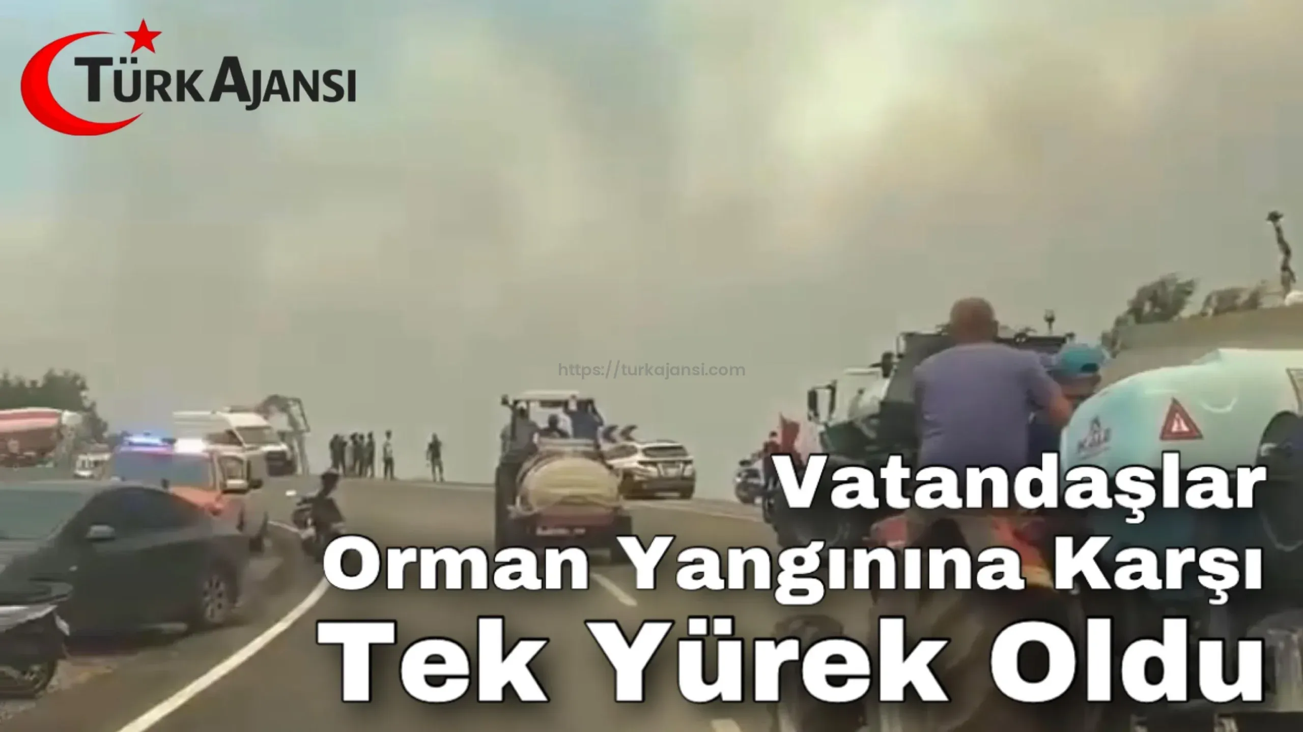 Muğla: Vatandaşlar Orman Yangınına Karşı Tek Yürek Oldu
