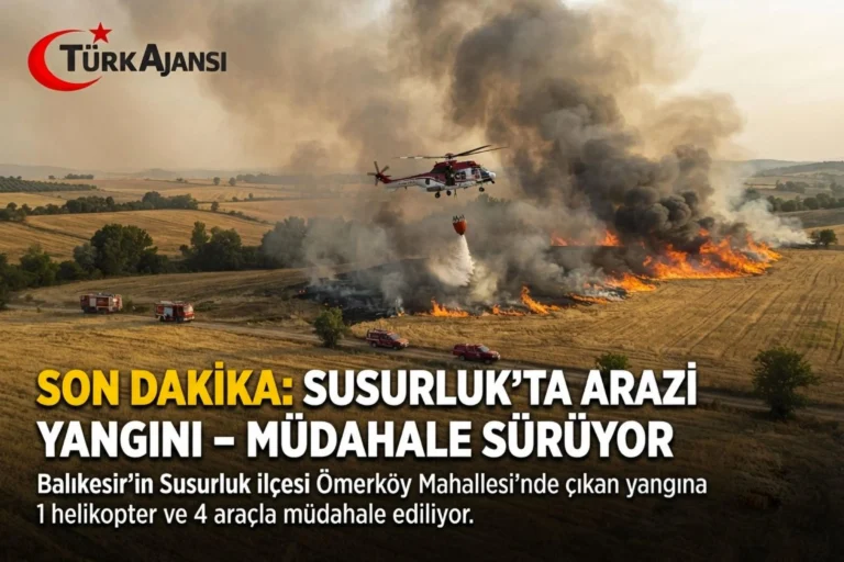 Son Dakika: Susurluk’ta Arazi Yangını – Müdahale Sürüyor