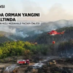 Tavşanlı’da Orman Yangını Büyümeden Kontrol Altına Alındı