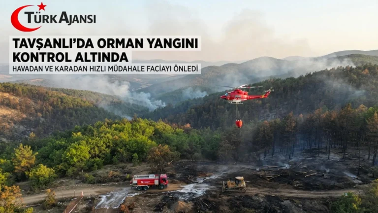 Tavşanlı’da Orman Yangını Büyümeden Kontrol Altına Alındı