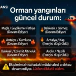Türkiye’de Orman Yangınları: 6 Bölgede Müdahale Sürüyor