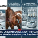 Akrep Zehri Hayat Kurtaran Seruma Dönüşüyor