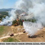 Bursa Büyükorhan’da Tarım Arazisinde Başlayan Yangın Ormana Sıçradı