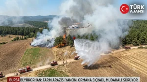 Bursa Büyükorhan’da Tarım Arazisinde Başlayan Yangın Ormana Sıçradı