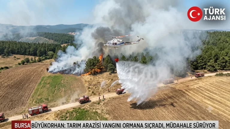 Bursa Büyükorhan’da Tarım Arazisinde Başlayan Yangın Ormana Sıçradı