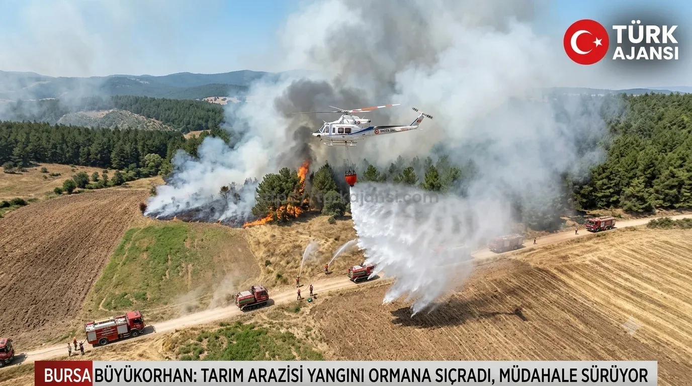 Bursa Büyükorhan’da Tarım Arazisinde Başlayan Yangın Ormana Sıçradı