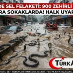 Çin’de Tarihi Sel Felaketi: 900 Zehirli Kobra Sokaklara Salındı!