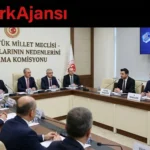 TBMM Okul Saldırıları Komisyonu Sosyal Medya Temsilcilerini Dinledi
