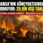 Fransa’da Büyük Orman Yangınları: Biscarrosse Ve Cap Ferret’te Binlerce Hektar Kül Oldu