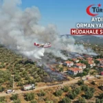 Aydın’da Zeytinlik ve Makilik Alanda Yangın