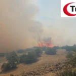 Susurluk’ta Tarım Arazisinde Çıkan Yangın 22 Saat Sonra Kontrol Altına Alındı