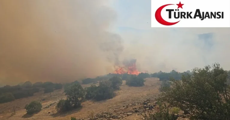 Susurluk’ta Tarım Arazisinde Çıkan Yangın 22 Saat Sonra Kontrol Altına Alındı