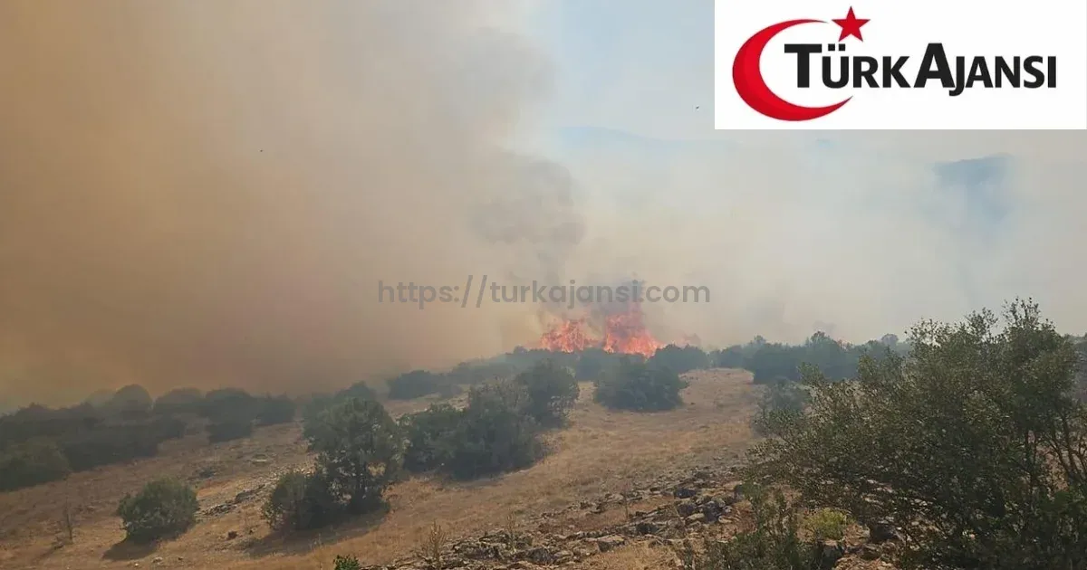 Susurluk’ta Tarım Arazisinde Çıkan Yangın 22 Saat Sonra Kontrol Altına Alındı
